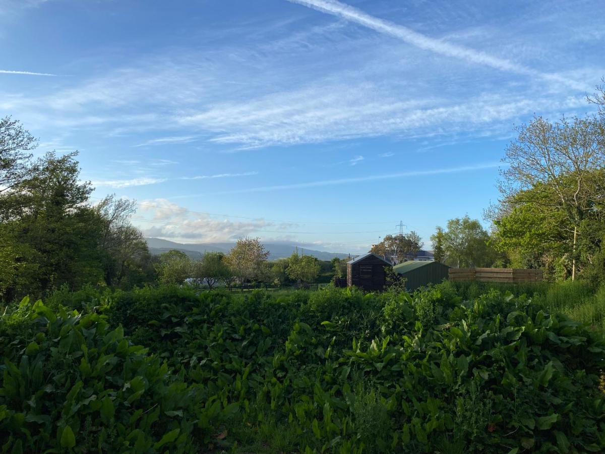 Cosy Double Shepherds Hut In Beautiful Wicklow With Underfloor Heating Throughout Rathnew Bagian luar foto